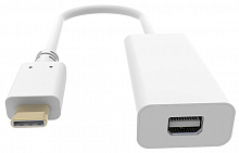 2 Переходник/адаптер Buro USB Type-C (m) mini DisplayPort (f) (BHP RET TPC_MDP), 0.6 м, белый уценённый